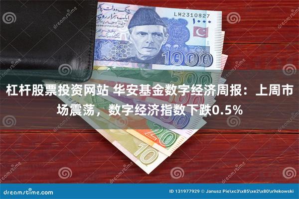 杠杆股票投资网站 华安基金数字经济周报：上周市场震荡，数字经济指数下跌0.5%