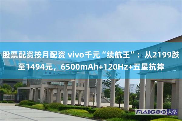 股票配资按月配资 vivo千元“续航王”：从2199跌至1494元，6500mAh+120Hz+五星抗摔