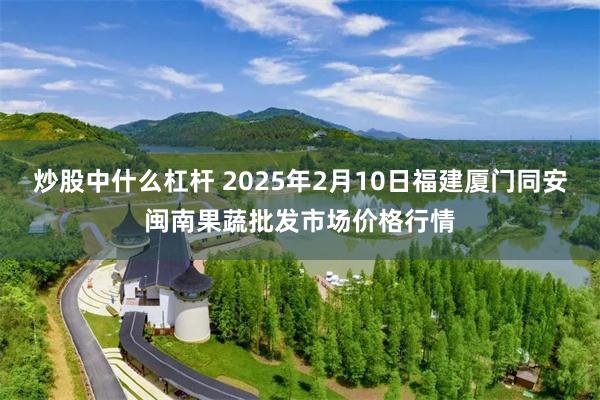 炒股中什么杠杆 2025年2月10日福建厦门同安闽南果蔬批发市场价格行情