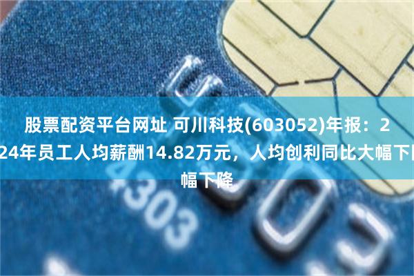 股票配资平台网址 可川科技(603052)年报：2024年员工人均薪酬14.82万元，人均创利同比大幅下降