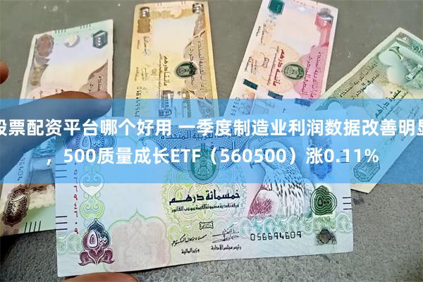 股票配资平台哪个好用 一季度制造业利润数据改善明显，500质量成长ETF（560500）涨0.11%