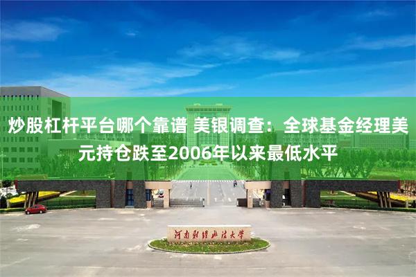 炒股杠杆平台哪个靠谱 美银调查：全球基金经理美元持仓跌至2006年以来最低水平