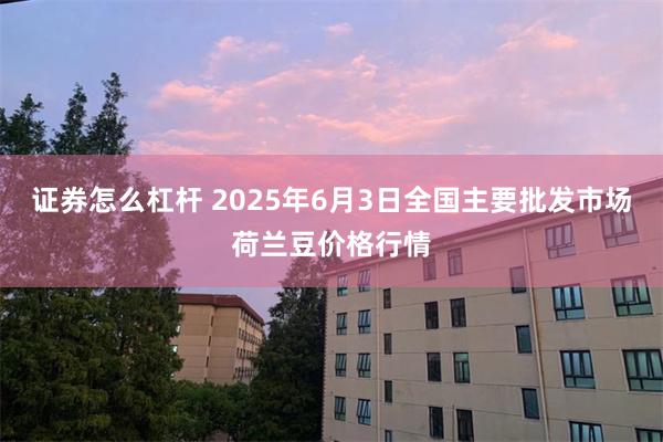 证券怎么杠杆 2025年6月3日全国主要批发市场荷兰豆价格行情