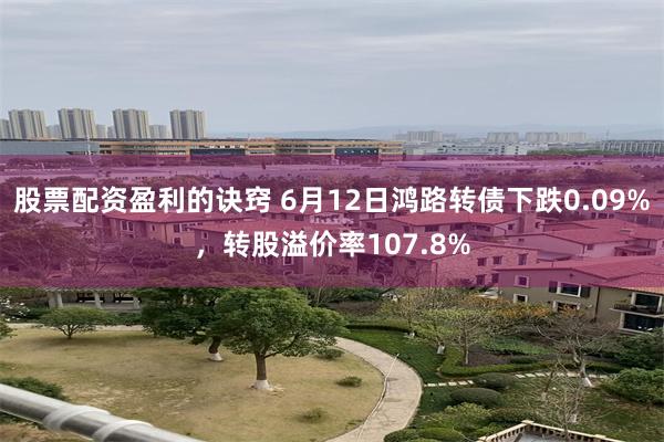 股票配资盈利的诀窍 6月12日鸿路转债下跌0.09%，转股溢价率107.8%