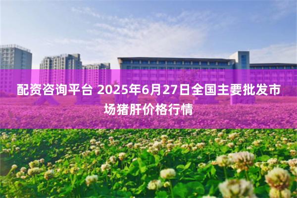 配资咨询平台 2025年6月27日全国主要批发市场猪肝价格行情