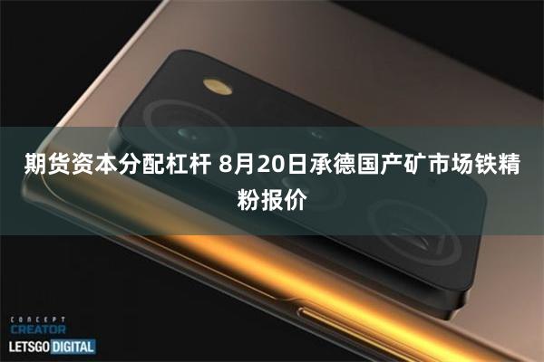期货资本分配杠杆 8月20日承德国产矿市场铁精粉报价