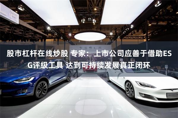 股市杠杆在线炒股 专家：上市公司应善于借助ESG评级工具 达到可持续发展真正闭环