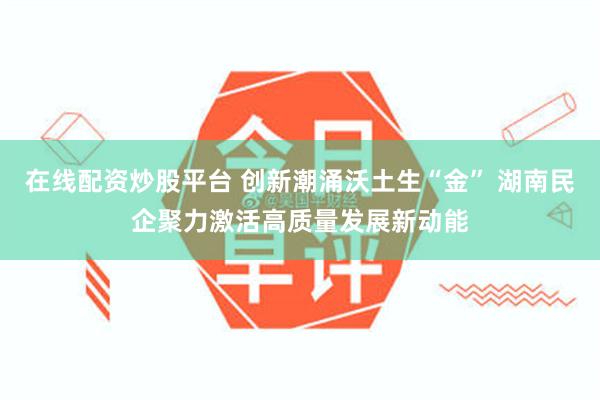 在线配资炒股平台 创新潮涌沃土生“金” 湖南民企聚力激活高质量发展新动能