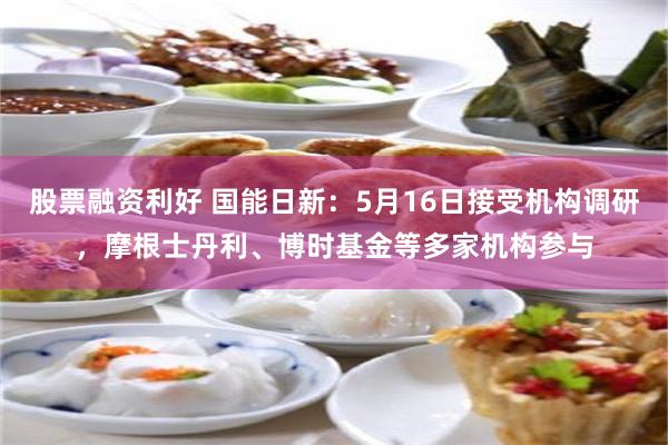 股票融资利好 国能日新：5月16日接受机构调研，摩根士丹利、博时基金等多家机构参与