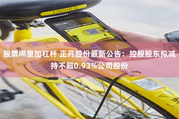 股票哪里加杠杆 正丹股份最新公告：控股股东拟减持不超0.93%公司股份