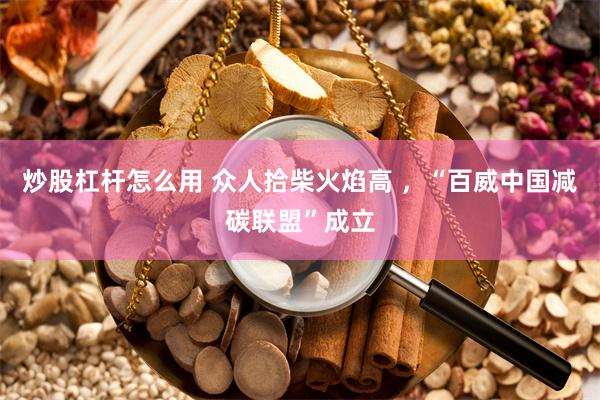 炒股杠杆怎么用 众人拾柴火焰高 ，“百威中国减碳联盟”成立
