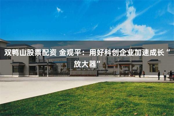 双鸭山股票配资 金观平：用好科创企业加速成长“放大器”