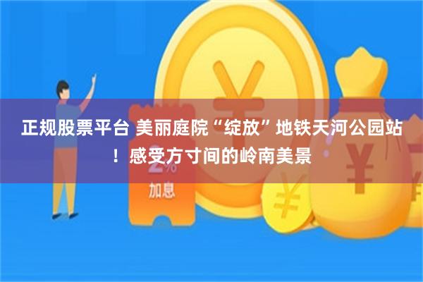 正规股票平台 美丽庭院“绽放”地铁天河公园站！感受方寸间的岭南美景