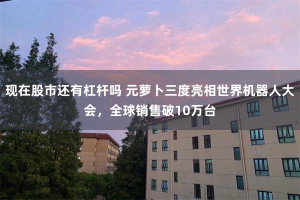 现在股市还有杠杆吗 元萝卜三度亮相世界机器人大会，全球销售破10万台