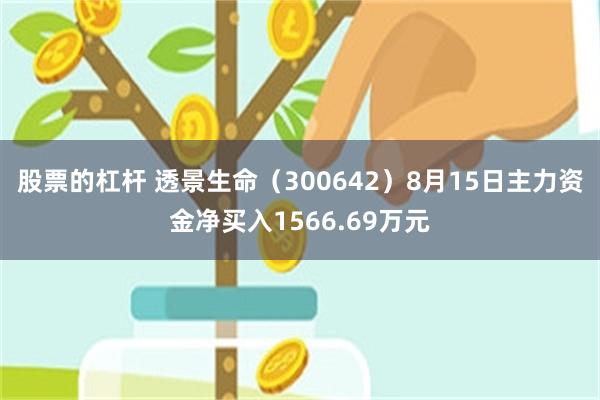 股票的杠杆 透景生命（300642）8月15日主力资金净买入1566.69万元