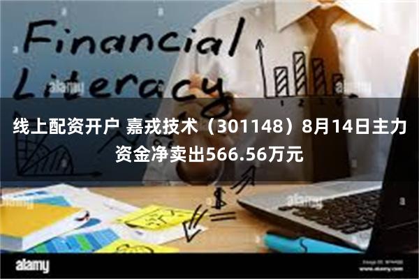 线上配资开户 嘉戎技术（301148）8月14日主力资金净卖出566.56万元