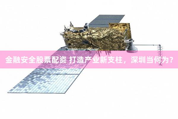 金融安全股票配资 打造产业新支柱，深圳当何为？