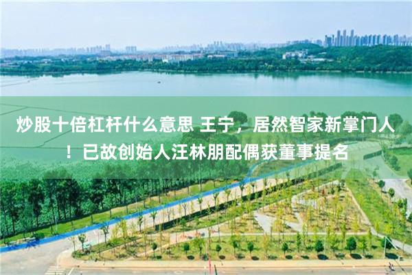 炒股十倍杠杆什么意思 王宁，居然智家新掌门人！已故创始人汪林朋配偶获董事提名