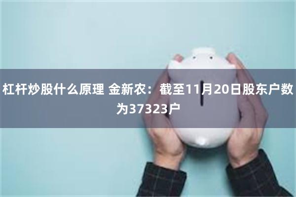 杠杆炒股什么原理 金新农：截至11月20日股东户数为37323户