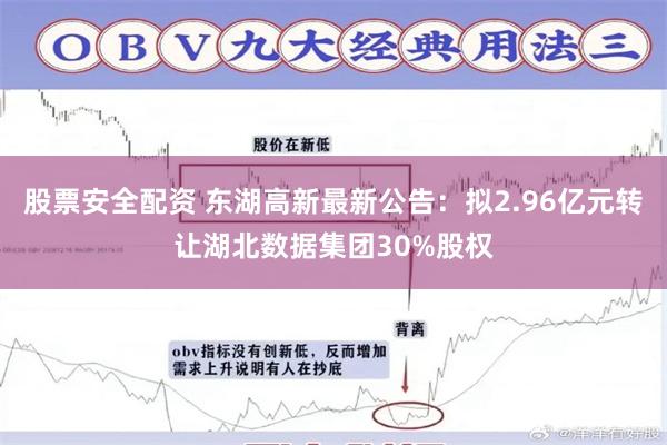 股票安全配资 东湖高新最新公告：拟2.96亿元转让湖北数据集团30%股权