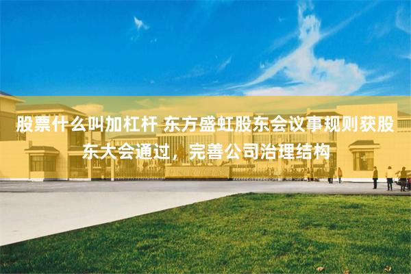 股票什么叫加杠杆 东方盛虹股东会议事规则获股东大会通过,完善公司治理结构