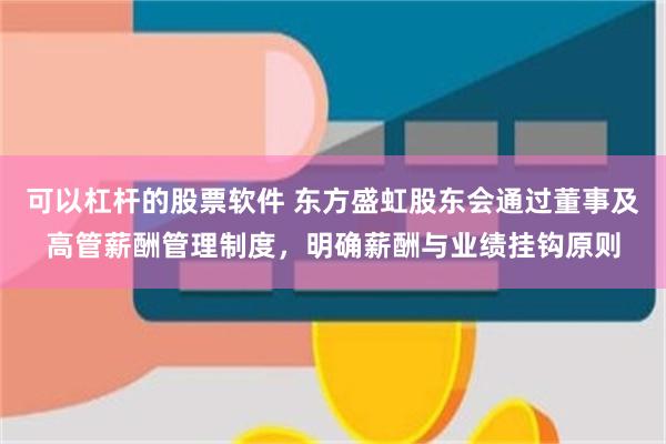 可以杠杆的股票软件 东方盛虹股东会通过董事及高管薪酬管理制度,明确薪酬与业绩挂钩原则