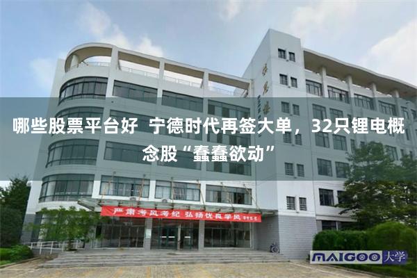 哪些股票平台好  宁德时代再签大单，32只锂电概念股“蠢蠢欲动”
