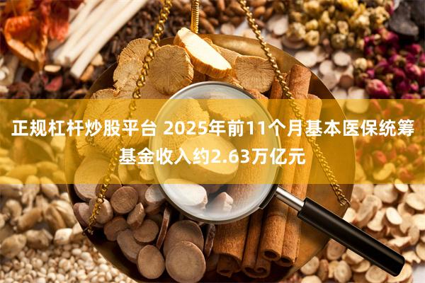正规杠杆炒股平台 2025年前11个月基本医保统筹基金收入约2.63万亿元