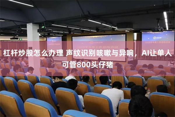 杠杆炒股怎么办理 声纹识别咳嗽与异响,AI让单人可管800头仔猪