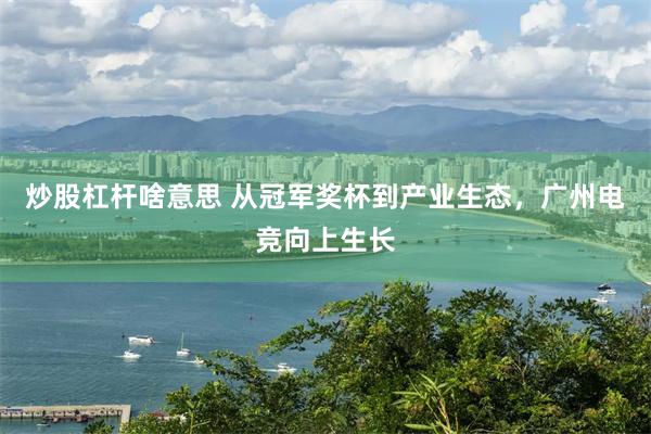 炒股杠杆啥意思 从冠军奖杯到产业生态,广州电竞向上生长