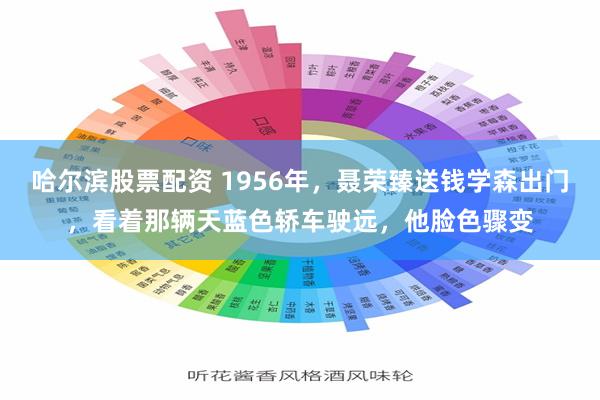 哈尔滨股票配资 1956年，聂荣臻送钱学森出门，看着那辆天蓝色轿车驶远，他脸色骤变