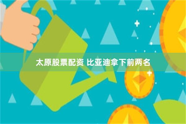 太原股票配资 比亚迪拿下前两名