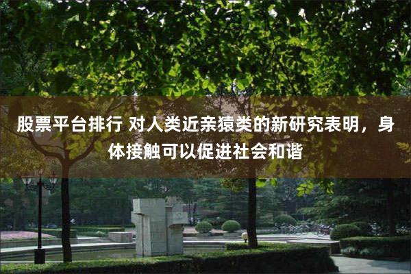 股票平台排行 对人类近亲猿类的新研究表明，身体接触可以促进社会和谐