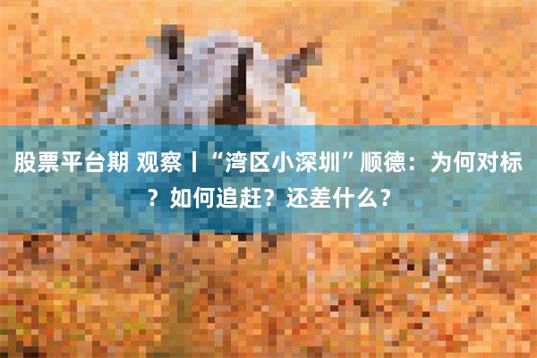 股票平台期 观察丨“湾区小深圳”顺德：为何对标？如何追赶？还差什么？