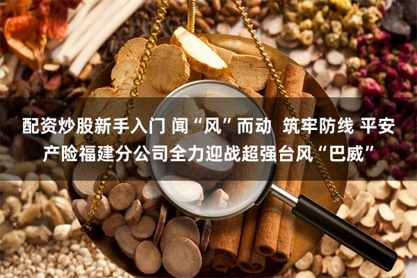 配资炒股新手入门 闻“风”而动  筑牢防线 平安产险福建分公司全力迎战超强台风“巴威”