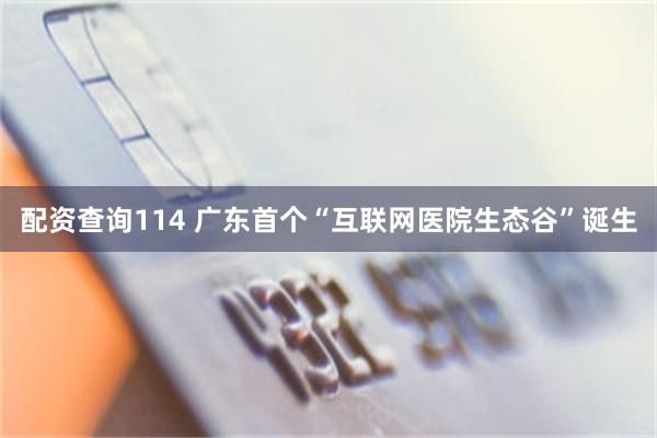 配资查询114 广东首个“互联网医院生态谷”诞生