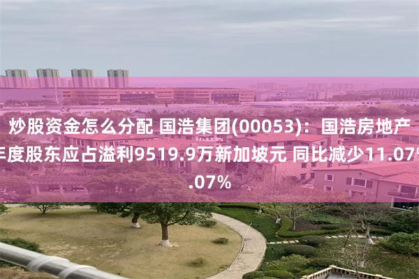 炒股资金怎么分配 国浩集团(00053)：国浩房地产年度股东应占溢利9519.9万新加坡元 同比减少11.07%