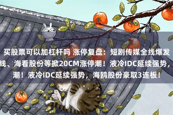 买股票可以加杠杆吗 涨停复盘：短剧传媒全线爆发，芒果超媒、中文在线、海看股份等掀20CM涨停潮！液冷IDC延续强势，海鸥股份豪取3连板！