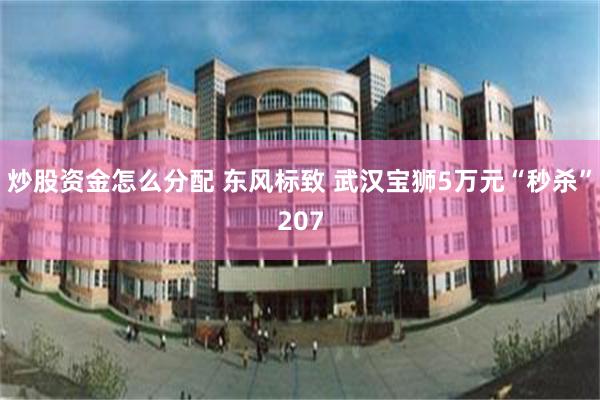 炒股资金怎么分配 东风标致 武汉宝狮5万元“秒杀”207