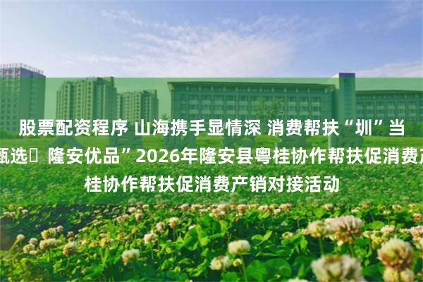 股票配资程序 山海携手显情深 消费帮扶“圳”当时——“粤桂甄选・隆安优品”2026年隆安县粤桂协作帮扶促消费产销对接活动